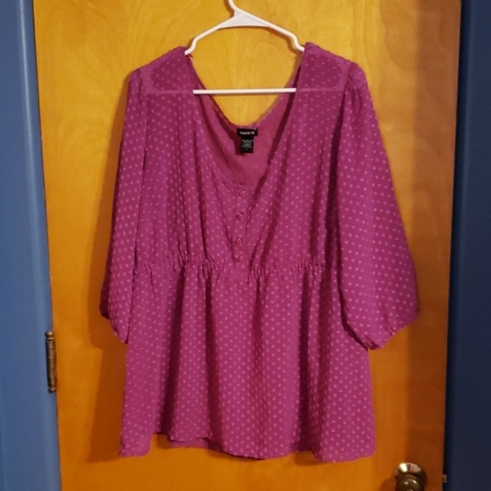 HOST PICK 🌟Torrid dot peplum sheer top-NWOT